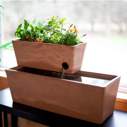 家庭で簡単に始める！アクアポニックススターターキットで安心・安全な家庭菜園を