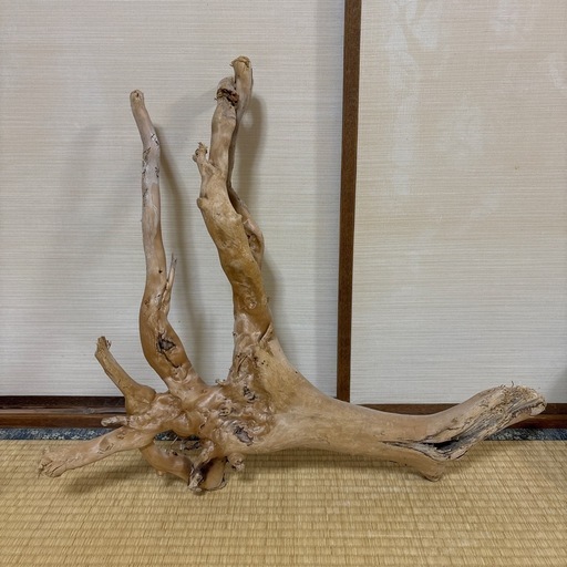流木