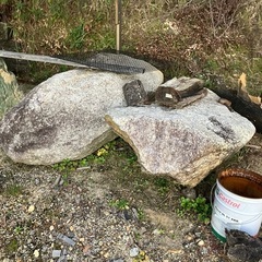 庭石