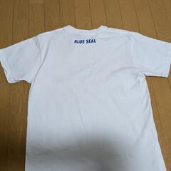 ブルーシール　Tシャツの画像