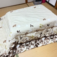 【値下げ再投稿】長方形コタツ布団2枚セットの画像