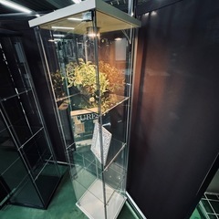 【お引取り中】ガラスのショーケースの画像