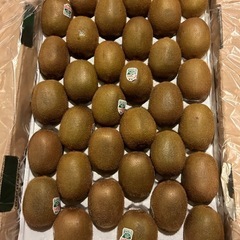 サービス品　グリーンキウイ　