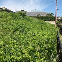 剪定や草刈りなど庭の相談 - 奈良市