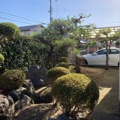 剪定や草刈りなど庭の相談 - 助け合い