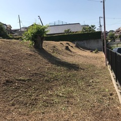 剪定や草刈りなど庭の相談 - 手伝いたい/助けたい
