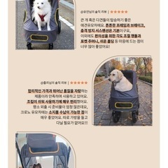 大型犬・中型犬用カートの画像