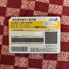 ANA株主優待券
