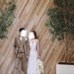 ウェディングドレスの画像