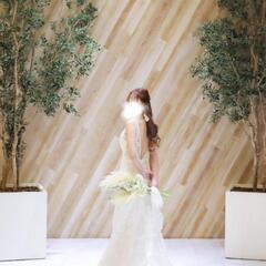 ウェディングドレスの画像