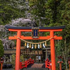 11月24日天川辨財天社に行きませんか?