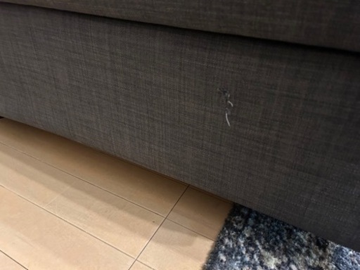 IKEA ソファ　フリーヘーテン
