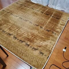 ホットカーペットの画像