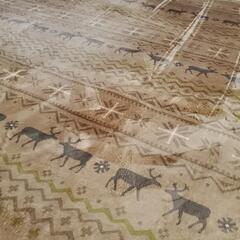 ホットカーペットの画像