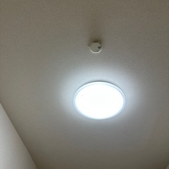 シーリングライト ホワイトの画像