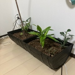生活雑貨 家庭用品 ガーデニング