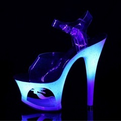 Pleaser  ハイヒールの画像