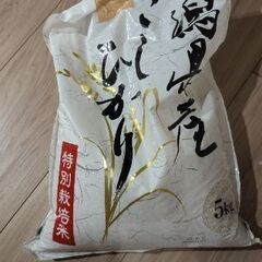 新潟産こしひかり　古米
