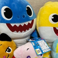 【お話し中】ベビーシャークたち🦈の画像