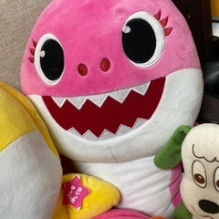 【お話し中】ベビーシャークたち🦈の画像