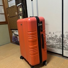 エースヒロミチナカノスーツケース