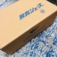 【値下】【新品未使用】教育シューズ 体育館シューズ①の画像