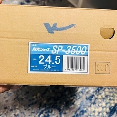 【最終値下】【新品未使用】教育シューズ 体育館シューズ②の画像