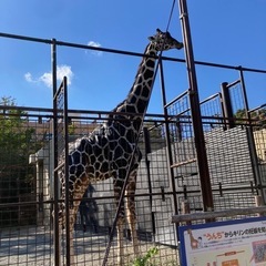 にしき認定子ども園の制服