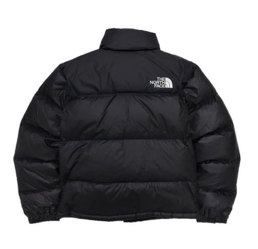 THE NORTH FACE 1996 RETRO ECONUPTSE DOWN