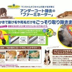 XSサイズ　ファーミネーター超小型犬長毛種専用アンダーコート除毛ブラシトリミングの画像