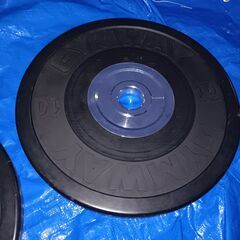 GYMWAY【 ジムウェイ 】薄型トレーニングバンパープレート 10kg 2枚