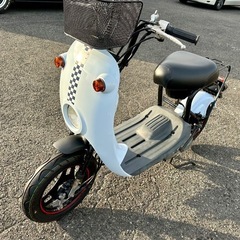 スズキ　
ちょいノリ