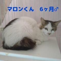 6ヶ月🍀オスコンビ