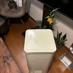 オシャレ縦型スチールゴミ箱