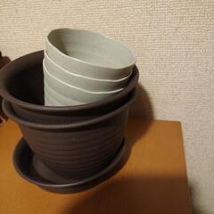 未使用品鉢植え