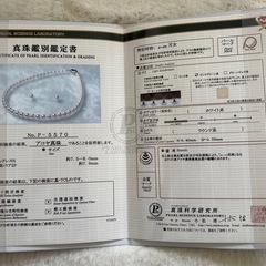 アコヤ真珠　の画像