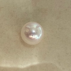 アコヤ真珠　の画像