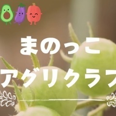 まのっこアグリクラブ2024年12月イベント　クリスマスツリーオ...