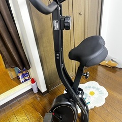 折りたたみ可能フィットネスバイクの画像