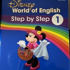 お取引中　
DWEの画像