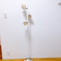 間接照明　フロアライト