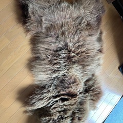 クマの敷物