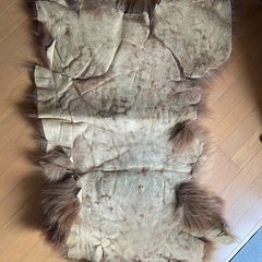 クマの敷物の画像