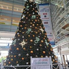 11/23 (土) 　一緒に講演会に参加しませんか？