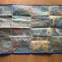 ポケモンシートの画像