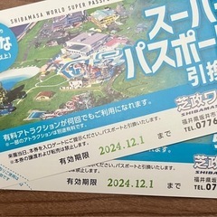 12月1日期限 芝政ワールド スーパーパスポート