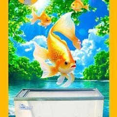 60cm水槽、水槽60cm、大型水槽、金魚水槽、熱帯魚水槽、Aq...