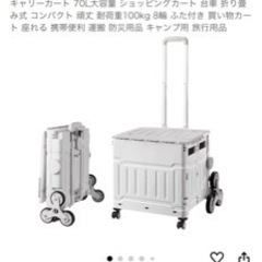 美品　折りたたみキャリーカート