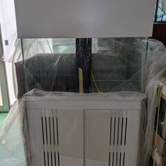愛知県のオーバーフロー水槽の中古が安い！激安で譲ります・無料