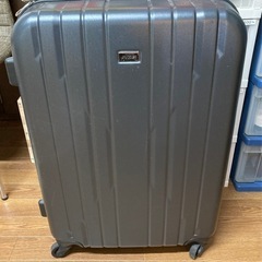 ACE キャリケース 旅行用 スーツケース ビジネストラベルバッ...